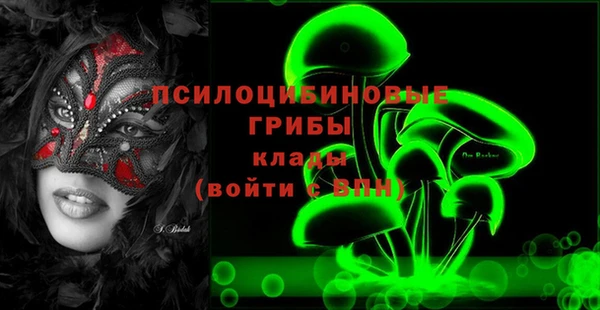 стаф Зеленодольск