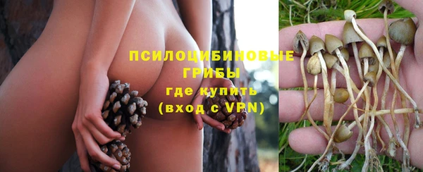 стаф Зеленодольск