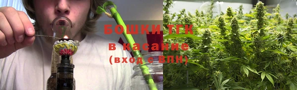 стаф Зеленодольск