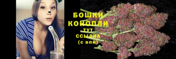 стаф Зеленодольск