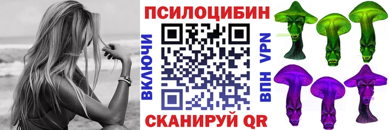 Псилоцибиновые грибы Psilocybe  Купить закладки  Калач-на-Дону 