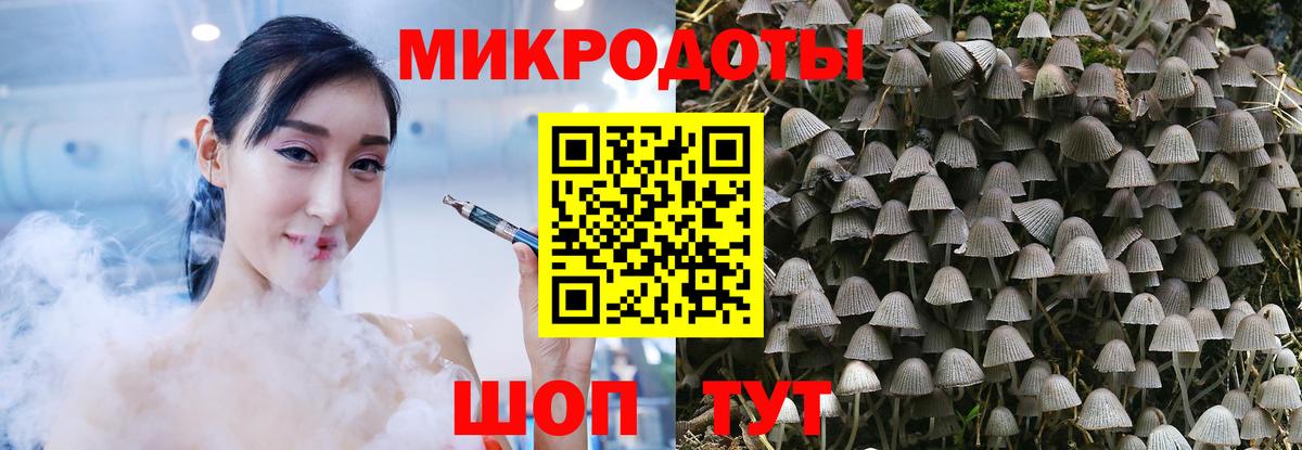 Псилоцибиновые грибы Psilocybine cubensis Калач-на-Дону