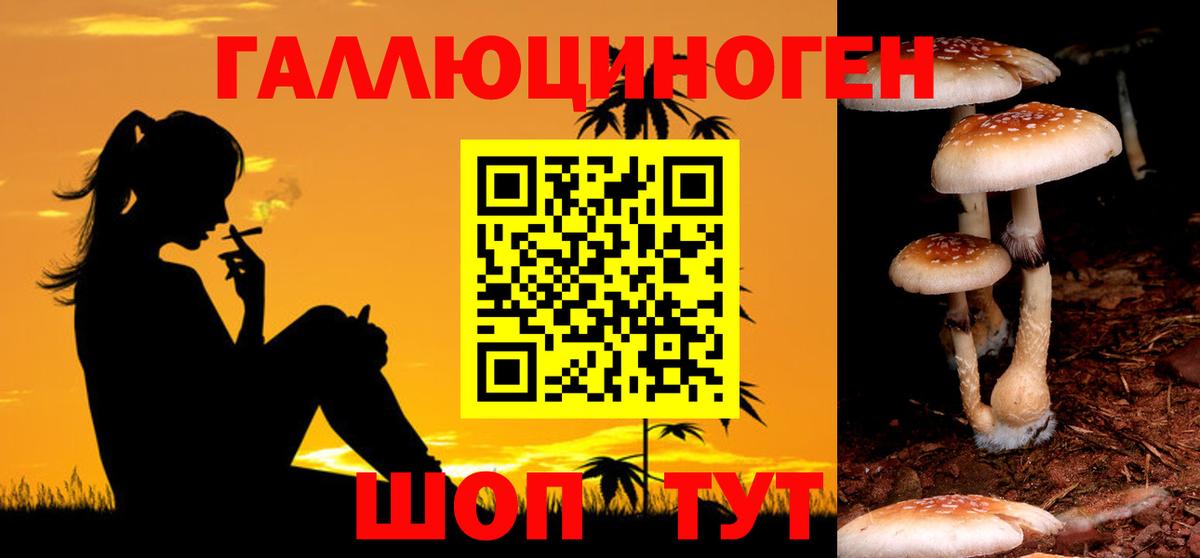 Галлюциногенные грибы GOLDEN TEACHER  Калач-на-Дону  наркошоп  Галлюциногенные грибы мицелий 